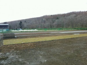 2016.4.12農場風景